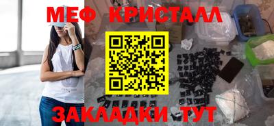 прущие грибы Гатчина