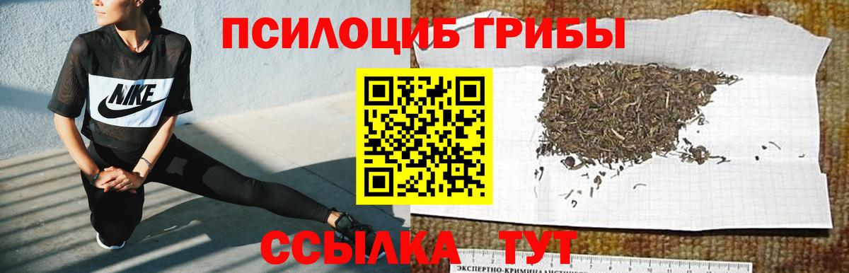 Галлюциногенные грибы GOLDEN TEACHER Медногорск