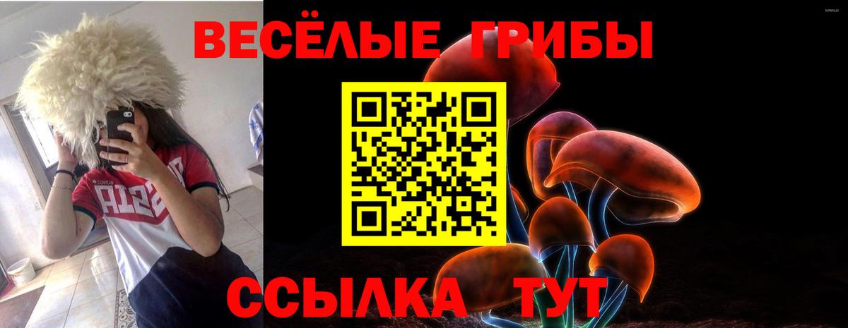 Медногорск  Псилоцибиновые грибы Cubensis  купить наркотики сайты  Вход с VPN 